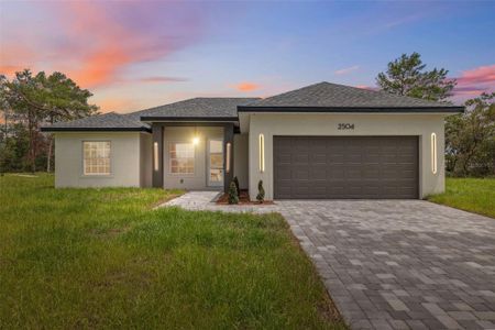 New construction Single-Family house 2504 SW 165th Street Rd, Ocala, FL 34473 - image