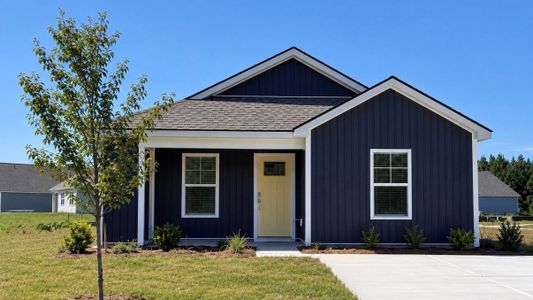 New construction Single-Family house 509 Carver Willow Dr, Loris, SC 29569 plan Lewis - image