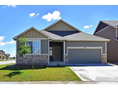 New construction Single-Family house 2487 Ravi St, Windsor, CO 80550 Ohio- photo 0