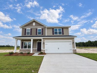 New construction Single-Family house 843 Doctor's Creek Rd, Ludowici, GA 31316 plan The Palmyra - image