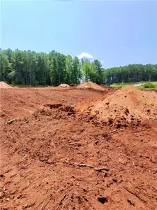 New construction Single-Family house 1 Wisteria Ln, Williamson, GA 30292 - image