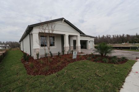 New construction Single-Family house 5867 Riverston Ave, Wesley Chapel, FL 33545 Corina  III Bonus- photo 113 113