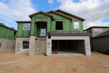 New construction Single-Family house 12134 Hilltop Farms Dr, Dade City, FL 33525 Malibu- photo 58 58