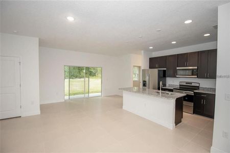 New construction Single-Family house 16819 Sw 41St Avenue Rd, Ocala, FL 34473 null- photo 13 13