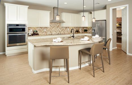 Parkside at Anthem at Merrill Ranch by Pulte Homes in Florence - photo 42 42