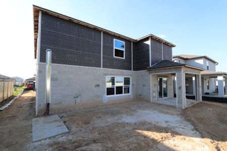 New construction Single-Family house 12252 Hilltop Farms Dr, Dade City, FL 33525 Cabo- photo 56 56