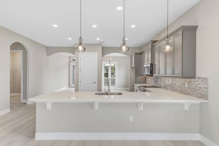 New construction Single-Family house 51 E Diamond Dr, Palm Coast, FL 32164 plan Birkdale - image 9