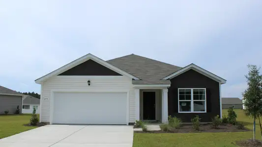 New construction Single-Family house 124 Ashworth Dr, Tabor City, NC 28463 plan ARIA - image