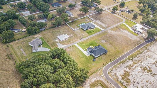 New construction Single-Family house 13521 Grand Blossom Court, Dover, FL 33527 - photo 0