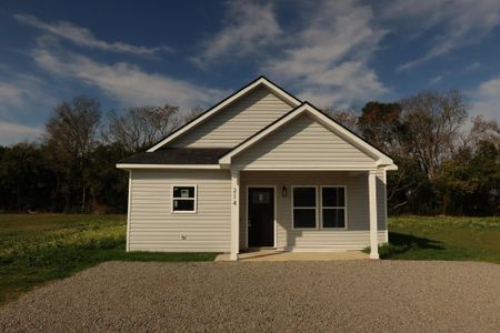 New construction Single-Family house 214 Avocada Dr, Santee, SC 29142 - image