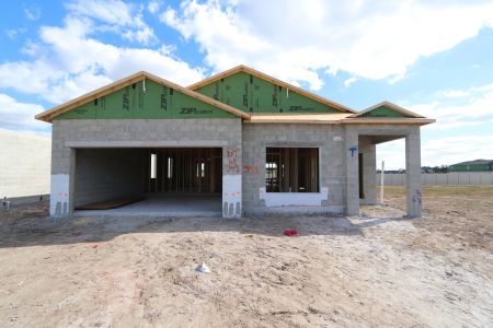 New construction Single-Family house 3142 Adams Cross Dr, Zephyrhills, FL 33540 Picasso- photo 16 16