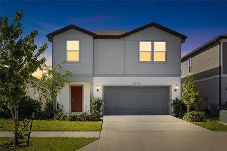 New construction Single-Family house 20770 Balsam Hill Rd, Land O' Lakes, FL 34638 - image