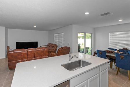 New construction Single-Family house 37357 Sharks Eye Ln, Zephyrhills, FL 33541 Darwin (G)- photo 7 7