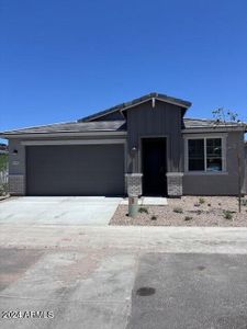 New construction Single-Family house 4591 S Siphon Draw Road, Apache Junction, AZ 85119 - photo 0