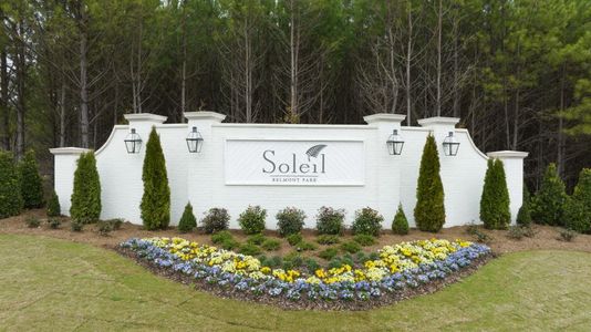 Soleil Belmont Park by Patrick Malloy Communities in Ball Ground - photo 2 2