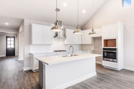 New construction Single-Family house 310 Hope Orchards Dr, Lavon, TX 75166 plan Trinity - image 12