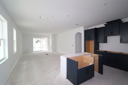 New construction Single-Family house 33227 Amling Pecan Br, Wesley Chapel, FL 33545 Newport II- photo 20 20