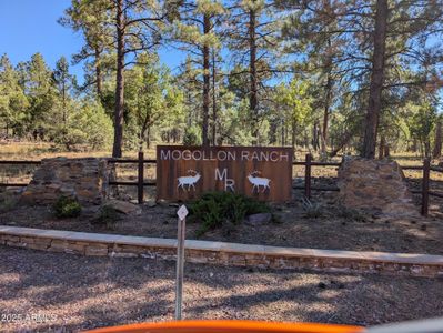 New construction Single-Family house 7267 Red Feather Ct, Happy Jack, AZ 86024 - image 19