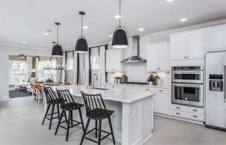 New construction Single-Family house 2520 Wilton Ct, Cumming, GA 30041 plan Waterstone - image 8