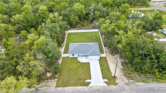 New construction Single-Family house 7 Guava Place Pass, Ocklawaha, FL 32179 - image