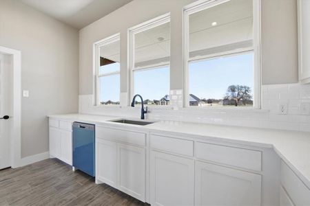 New construction Single-Family house 105 Cattleman Dr, Springtown, TX 76082 - image 13