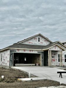 New construction Single-Family house 1211 Teychas Dr, Kyle, TX 78640 1551 Casetta- photo 10 10