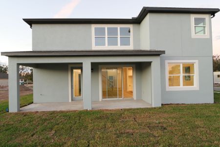 New construction Single-Family house 20288 Oriana Loop, Land O' Lakes, FL 34638 Coronado II- photo 99 99