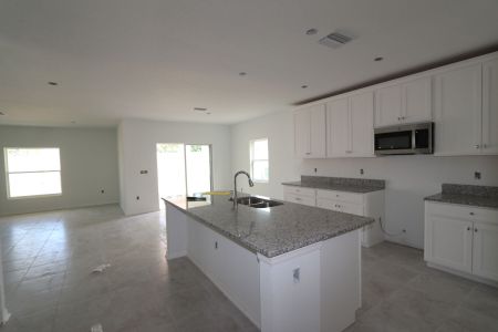 New construction Single-Family house 12168 Hilltop Farms Dr, Dade City, FL 33525 Malibu- photo 96 96