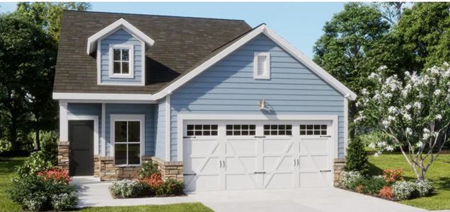 New construction Single-Family house 240 Captain Kidd Ct, Summerville, SC 29486 plan Ashford - image