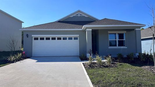 New construction Single-Family house 1193 Alstonia Lane, Mount Dora, FL 32757 ARIA- photo 0