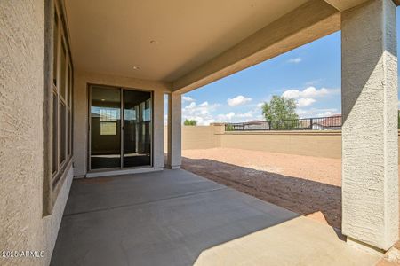 New construction Single-Family house 890 W Macaw Dr, Queen Creek, AZ 85140 plan Citrine - image 4