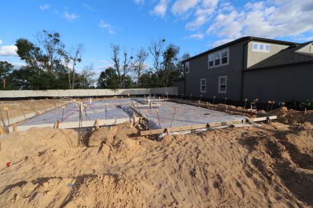 New construction Single-Family house 12134 Hilltop Farms Dr, Dade City, FL 33525 Malibu- photo 7 7