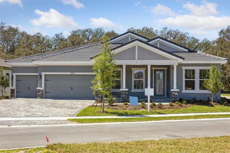 New construction Single-Family house 12817 Daleridge Pl, Riverview, FL 33579 Key Largo- photo 0