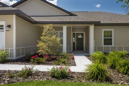 New construction Single-Family house 11919 Northwest 15th Road, Gainesville, FL 32606 - photo 1 1