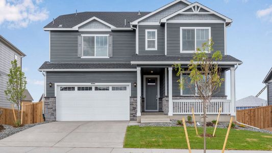 New construction Single-Family house 5785 Horro St, Windsor, CO 80528 plan Hennessy - image