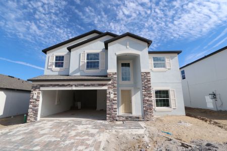 New construction Single-Family house 12176 Hilltop Farms Dr, Dade City, FL 33525 Malibu- photo 99 99