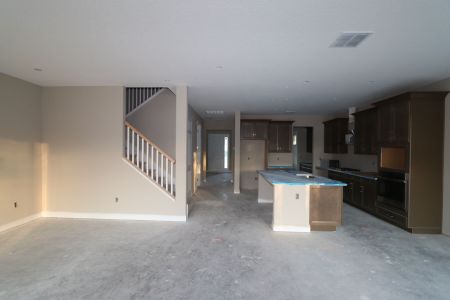 New construction Single-Family house 20131 Oriana Loop, Land O' Lakes, FL 34638 Sonoma II- photo 121 121