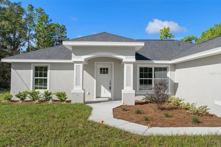 New construction Single-Family house 14328 Chimney Swift Rd, Weeki Wachee, FL 34614 null- photo 0