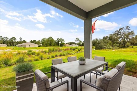 New construction Single-Family house 423 Vernon Ct, Kissimmee, FL 34759 - image