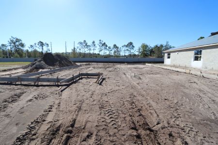 New construction Single-Family house 20027 Oriana Loop, Land O' Lakes, FL 34638 Corina  III- photo 2 2