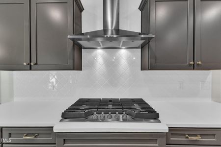 New construction Single-Family house 9164 Dupree Meadow Dr, Angier, NC 27501 plan The Hampton - image 12