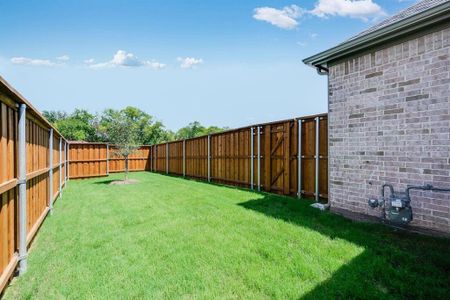 New construction Single-Family house 1904 Blue Sage Ct, Celina, TX 75009 plan Walton - image