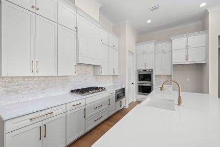 New construction Single-Family house 76 Courtney Manor Ct, St. Augustine, FL 32092 plan Aurora - image 15