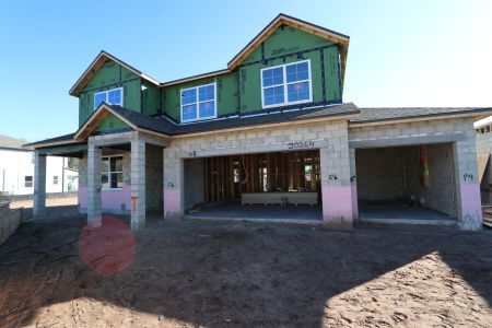 New construction Single-Family house 20264 Oriana Loop, Land O' Lakes, FL 34638 Santa Monica- photo 62 62