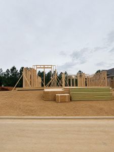 New construction Single-Family house 42683 Mystery Ln, Magnolia, TX 77354 plan Lucas - image