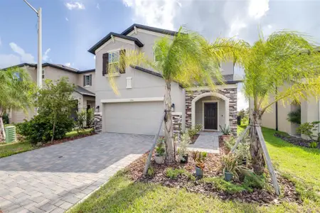New construction Single-Family house 5246 Currant St, Lakeland, FL 33811 plan Castellana - image