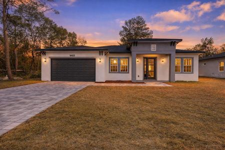 New construction Single-Family house 16825 Sw 39Th Cir, Ocala, FL 34473 - image