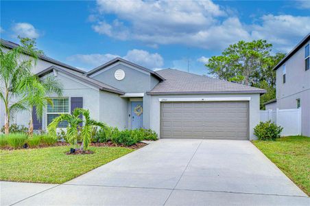 New construction Single-Family house 12945 Wildflower Meadow Drive, Riverview, FL 33579 - photo 0