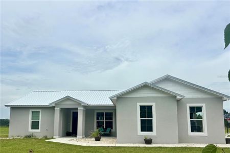 New construction Single-Family house Fort Meade, FL 33841 - image