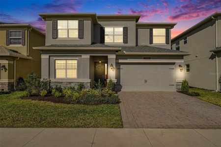 New construction Single-Family house 32745 Tamarind Grove Ln, Wesley Chapel, FL 33543 - image